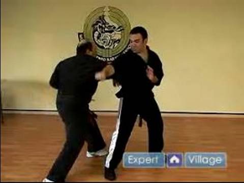 Amerikan Kempo Karate Teknikleri : Yanıp Sönen Kanatları Kenpo Karate Teknikleri