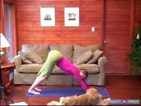 Köpek Yoga Poses Ve Pozisyonlar: Doga Bakan Köpek Pozisyonu İnsanlar İçin Aşağıya Doğru Resim 1