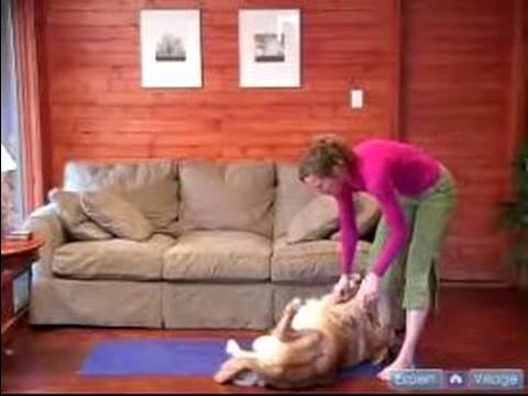 Köpek Yoga Poses Ve Pozisyonlar: Köpek Twist, Köpekler Ve İnsanlar İçin Bir Doga Poz