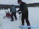 Iditarod Kızak Köpeği Yarış İçinde Nasıl Bir Kızak İçin Gag Satır Ekleme 