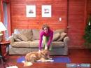 Köpek Yoga Poses Ve Pozisyonlar: Doga Aşağı Doğru Köpek Köpekler İçin Karşı Karşıya.