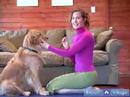 Köpek Yoga Poses Ve Pozisyonlar: Göz Teması Bakan, Yoga Köpekler Ve İnsanlar İçin Pozlar