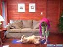 Köpek Yoga Poses Ve Pozisyonlar: Köpek Twist, Köpekler Ve İnsanlar İçin Bir Doga Poz