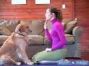 Köpek Yoga Poses Ve Pozisyonlar: Göz Teması Bakan, Yoga Köpekler Ve İnsanlar İçin Pozlar Resim 3