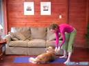 Köpek Yoga Poses Ve Pozisyonlar: Köpek Twist, Köpekler Ve İnsanlar İçin Bir Doga Poz Resim 3