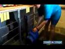 Damat Bir Köpek Nasıl Yapılır : Köpek Kafesi Kurutma Makinesi Kullanmayı  Resim 4