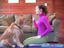 Köpek Yoga Poses Ve Pozisyonlar: Göz Teması Bakan, Yoga Köpekler Ve İnsanlar İçin Pozlar Resim 4