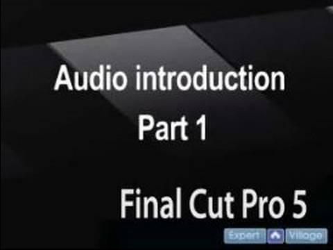 Final Cut Pro 5 Ses Eğitimi: Nihai Ses İle Çalışma Pro 5 Kesmek. Resim 1