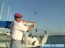 İleri Yelken Dersleri : Yelken Şekli: İleri Yelken Dersleri Video Resim 3