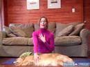 Köpek Yoga Poses Ve Pozisyonlar: Doğa Her İki Köpekler İçin Meditasyon Oturan Ve İnsanlar Resim 3
