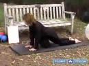 Yaşlılar İçin Yoga Egzersizleri : Plank Yaşlılar İçin Yoga Egzersizleri Poz  Resim 4