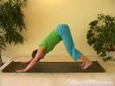 Acemi Yoga Pozisyonları : Aşağı Doğru Köpek Poz Yoga  Resim 3