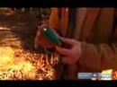 Nasıl Bir Ateş Yakmak : Çakmak: Nasıl Bir Yangın Oluşturmak İçin  Resim 3