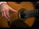 Nasıl Flamenko Gitar : Flamenko Gitar Başparmak Serbest Vuruş  Resim 3