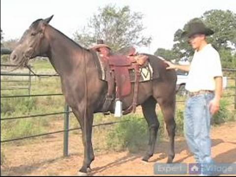 Nasıl Rodeo Team İp : Geçin, İçeri Geçin Bir At Seçin  Resim 1