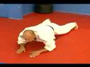 Judo Dersleri Yeni Başlayanlar İçin: Nasıl Bir Judo Açık Düşüş Resim 3