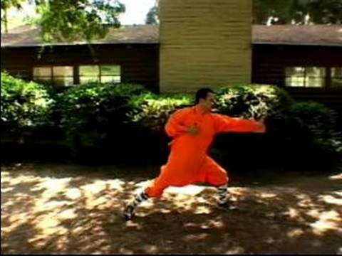 Bir Shaolin Kung-Fu Ustası Olmak İçin Nasıl : Küçük Bilek Shaolin Kung Fu Boks 