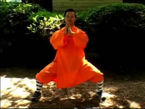 Bir Shaolin Kung-Fu Ustası Olmak İçin Nasıl : Shaolin Kung Fu Duruş