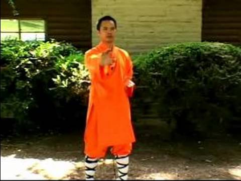 Bir Shaolin Kung-Fu Ustası Olmak İçin Nasıl : Shaolin Kung Fu Yumruklar Ve Bloklar