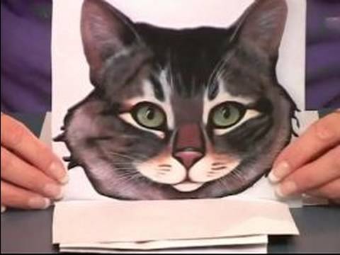 Cadılar Bayramı İçin Kedi Makyaj Uygulamak İçin Nasıl : Cadılar Bayramı Kedi Bir Yüz Seçin Nasıl  Resim 1