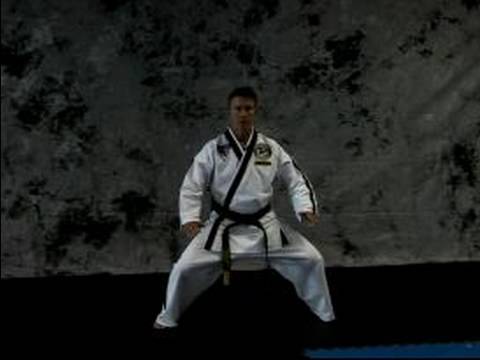 Taekwondo Dövüş Sanatları Temel : Ata Biner Gibi Taekwondo 