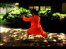 Bir Shaolin Kung-Fu Ustası Olmak İçin Nasıl : Shaolin Kung Fu Yavaş Form