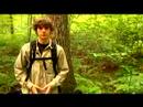 Düşük Etkisi Hiking İpuçları Ve Teknikleri: Ne Zaman Seçmek İçin Nasıl Ve Nerede Zammı