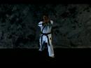 Taekwondo Dövüş Sanatları Temel : Ters Yumruk Taekwondo 