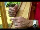 Acemi Harp Ders : Harp Bir Akor Oyun  Resim 3