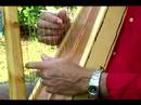 Acemi Harp Ders : Harp Bir Dize Oynuyor  Resim 3