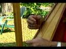 Acemi Harp Ders : Harp Hakkında Parmaklıyor  Resim 3