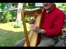 Acemi Harp Ders : Harp On Jamaikalı Veda Melodi Çalma  Resim 3
