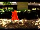 Bir Shaolin Kung-Fu Ustası Olmak İçin Nasıl : Küçük Bilek Shaolin Kung Fu Boks  Resim 3
