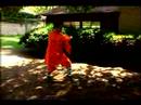 Bir Shaolin Kung Nasıl Fu Ustası : Kung Fu Shaol Uzun Yumruk  Resim 3