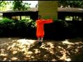 Bir Shaolin Kung Nasıl Fu Ustası : Kung Fu Shaolin Oynanacak  Resim 3