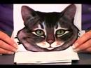 Cadılar Bayramı İçin Kedi Makyaj Uygulamak İçin Nasıl : Cadılar Bayramı Kedi Bir Yüz Seçin Nasıl  Resim 3