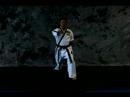 Taekwondo Dövüş Sanatları Temel : Ters Yumruk Taekwondo  Resim 3