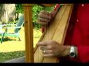 Acemi Harp Ders : Harp Bir Akor Oyun  Resim 4