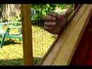 Acemi Harp Ders : Harp Hakkında Parmaklıyor  Resim 4