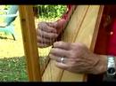 Acemi Harp Ders : Harp On Jamaikalı Veda Melodi Çalma  Resim 4