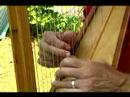 Acemi Harp Müzik Dersleri: Parıltı, Parıltı Melodi Harp Üzerine Oynamak Resim 4