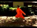 Bir Shaolin Kung Nasıl Fu Ustası : Kung Fu Shaol Uzun Yumruk  Resim 4