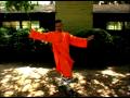 Bir Shaolin Kung Nasıl Fu Ustası : Kung Fu Shaolin Oynanacak  Resim 4