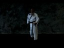 Taekwondo Dövüş Sanatları Temel : Guard Duruşu Taekwondo  Resim 4