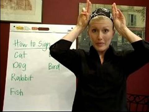 İşaret Dili Dersleri: Ortak Deyimler: Nasıl İşaret Dili Ortak Hayvanlar İmzalamak İçin
