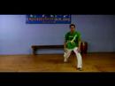 Capoeira Hamle İleri : Nasıl Durulayın De Porto Bir Vesile Yapmak 