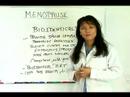 Menopoz İçin Yardımcı Hekim : Bioidenticals & Menopoz