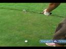 Gençler İçin Golf İpuçları : Genç Golfçüler İçin Yontma Teknikleri  Resim 3