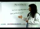 Menopoz İçin Yardımcı Hekim : Destek & Menopoz Hakkında Detaylı Bilgi  Resim 3