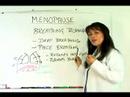 Menopoz İçin Yardımcı Hekim : Nefes Alma Yöntemleri Ve Menopoz Resim 3